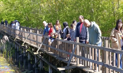 Saklı cennet Acarlar Longozu, hafta sonu ziyaretçi akınına uğradı