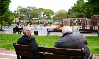Samsun’da hanehalkı eriyor: 16 yıldır sürekli düşüşte