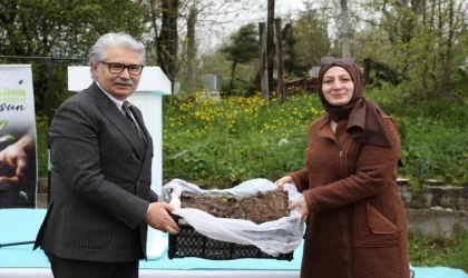 Samsun’da üreticilere 150 bin çilek fidesi desteği