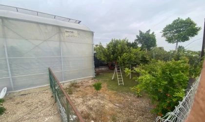 Serik’te kamyonet seraya daldı: 1 yaralı