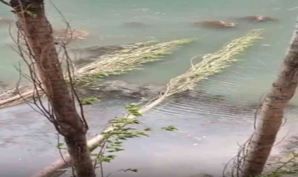 Şiddetli fırtına hayatı felç etti