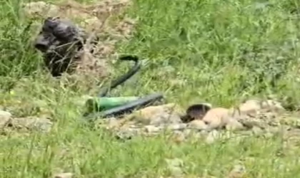 Şırnak’ta odun almaya giden kadın 2 metre uzunluğunda yılan gördü