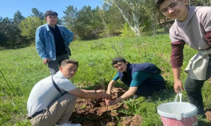 Sivas’ta Türk dünyası öğrencileri fidan dikti