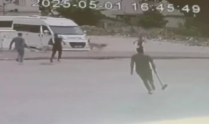 Sokak köpekleri çocuğa saldırdı