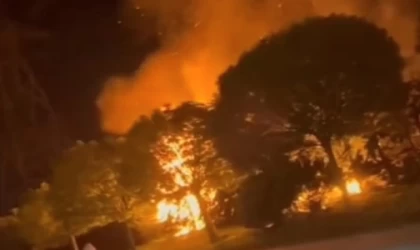 Sultangazi’de ormanlık alanda korkutan yangın