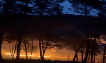 Tarsus’ta orman yangını