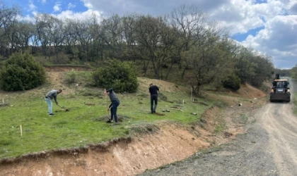 Tavşanlı Kuruçay Göleti çevresi hükümlülerin ellerinden yeşeriyor