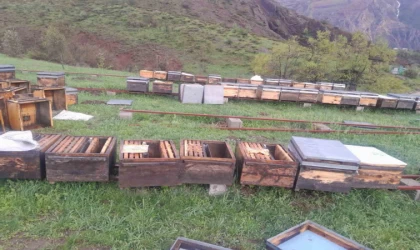 Tunceli Arı Yetiştiricileri Birliği Başkanı Doğan, ”Fırtınadan zarar gören arıcılar TARSİM’e başvurmalı”