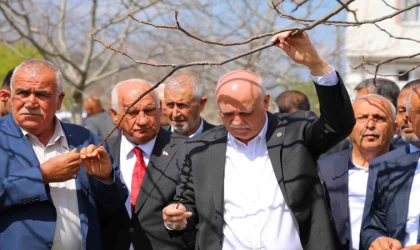 TZOB Genel Başkanı Bayraktar: ”65 ilimizde meyve bahçelerimiz don felaketinden etkilendi”