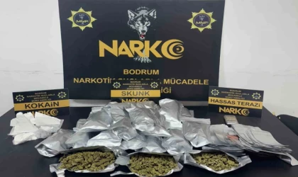 Uyuşturucu operasyonunda 1 tutuklama