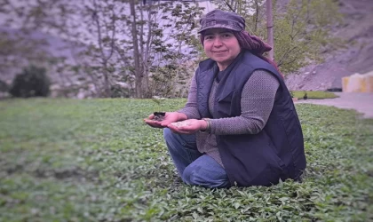 Uzundere’nin çiçek kadınları yılda 1 milyon fide üretiyor