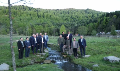 Vali Hacıbektaşoğlu Gümeli’de anıt ağaçları ve yaylaları inceledi