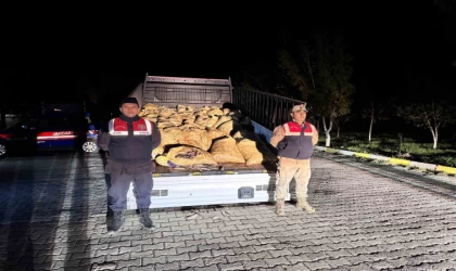 Van’da 3 ton 820 kilo kaçak avlanmış balık ele geçirildi