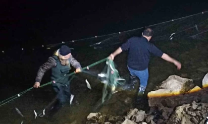 Van’da 5 ton 650 kilo inci kefaline el konuldu