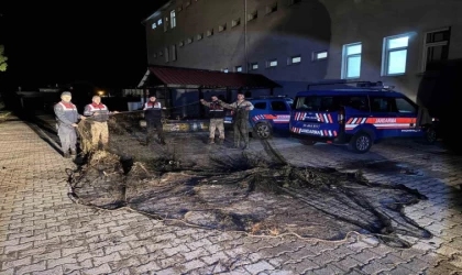 Van’da ele geçirilen 1 ton canlı balık suya bırakıldı