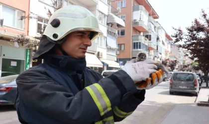 Yalova’da çatıdan düşen yavru martıyı itfaiye kurtardı