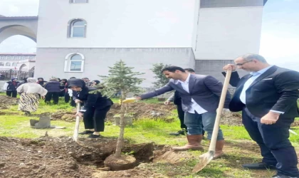 Yeşeren Umutlar, Filizlenen Gelecek