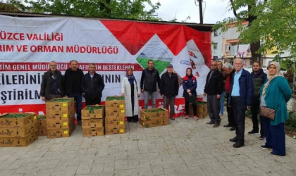 Yüzde 75’i bakanlık destekli fideler çiftçilere dağıtıldı