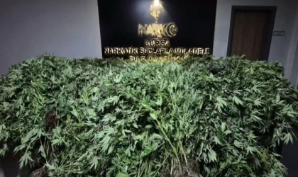 Zehir tacirlerine yapılan baskında 34 şüpheli tutuklandı