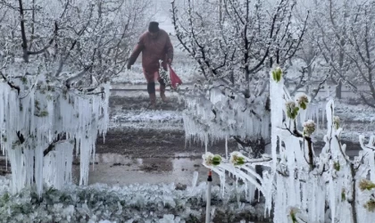 Zirai Don Meclis Araştırma Komisyonu 14 Mayıs’ta toplanıyor